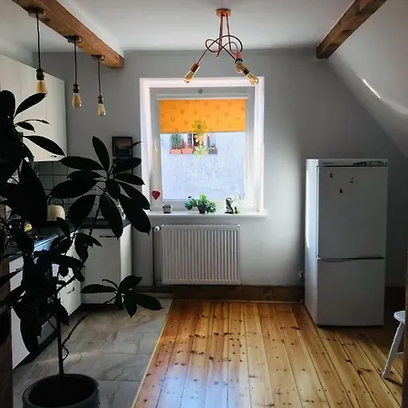 Apartament U Rysia アパート