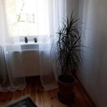 Apartament U Rysia アパート スウプスク