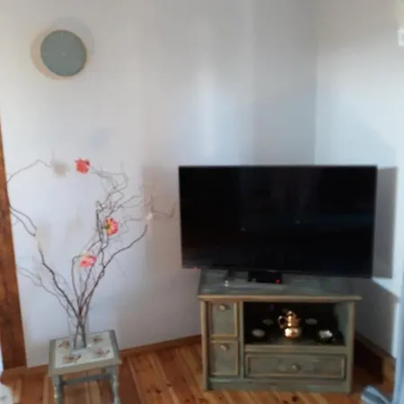 Apartament U Rysia スウプスク